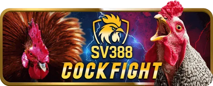 Bảo vệ quyền riêng tư và cá cược có trách nhiệm tại qq188 bet
